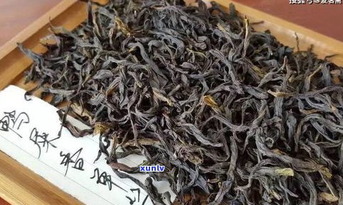 黑普洱茶减肥效果如何？真的能帮助减重吗？