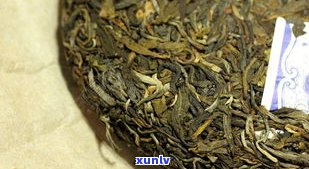 普洱茶是熟茶还是生茶？详解各类普洱茶种类及其特点