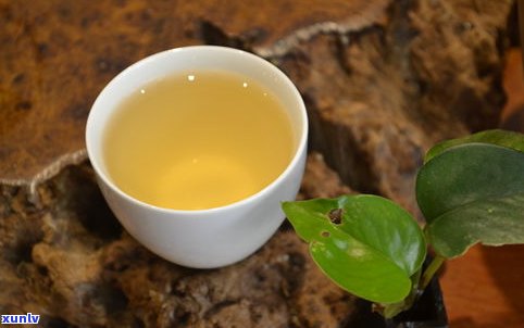 普洱茶老茶专业网-普洱茶老茶交易平台