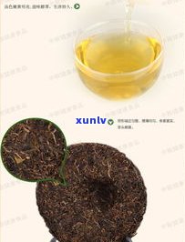 中茶牌普洱茶圆茶-中茶牌普洱茶圆茶是什么茶