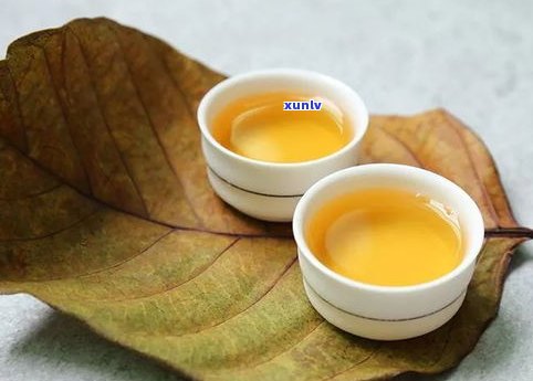 普洱茶生茶：究竟是什么茶叶？