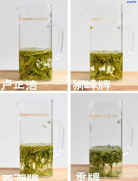 龙井茶普洱茶品牌-龙井茶普洱茶品牌哪个好