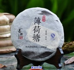 茶王寨普洱茶357克系列：熟茶、百年易武及生茶价格全览