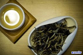 普洱茶和铁观音茶属于哪种茶系列？它们有何区别？