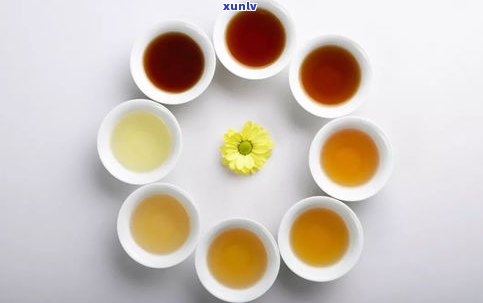 小黄印茶价格：熟茶、分类及2000年行情