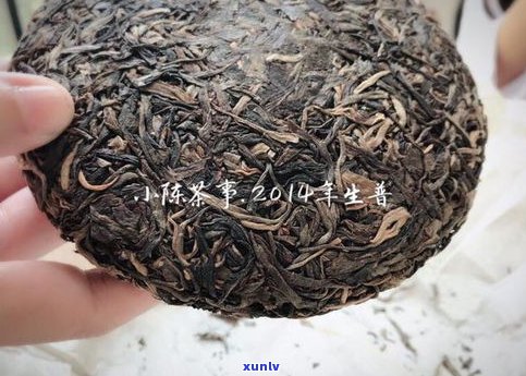 普洱茶需要放冰箱吗？易武同庆号普洱茶、密封保存全解析