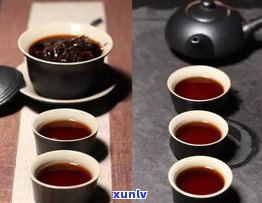 探究六堡茶与普洱茶的功效差异