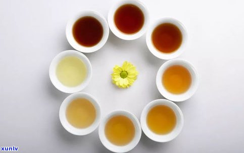 普洱茶熟茶喝绿茶-普洱茶熟茶喝绿茶还是红茶