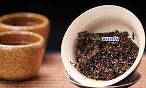 黑茶与普洱：哪个更有效去除油脂？