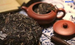 陈普洱茶的功效：全面解析其作用、禁忌与陈皮普洱茶的区别