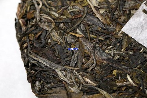 易武茶普洱茶特点解析：口感与特性全解