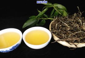 古田坊普洱茶生茶-古田茶是什么茶