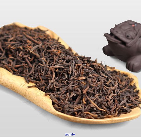 勐海普洱茶价格全览：最新一斤价、厂家价一览无余！