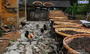 普洱茶马古道的茶-普洱茶马古道茶马古城说说