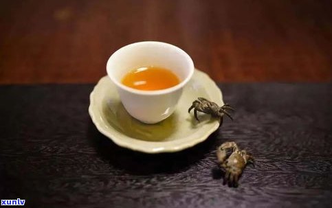 普洱茶是生熟茶吗-普洱茶是生熟茶吗