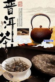 如何沏普洱茶熟茶-如何沏普洱茶熟茶好喝