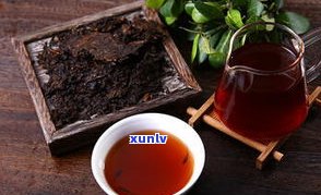 辣木叶茶与普洱茶的口感、健康效果比较，哪个更好？能否混搭饮用？