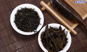 什么叫普洱茶生茶-什么叫普洱茶生茶和熟茶