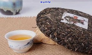 普洱茶古树茶价值-普洱茶古树茶价值多少