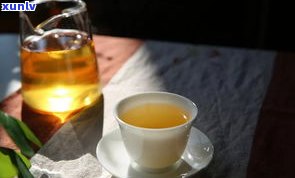 普洱茶：熟茶与生茶的区别及口感比较