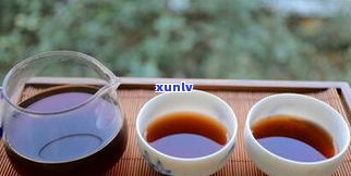 藏茶和普洱茶功效-藏茶和普洱茶功效与作用