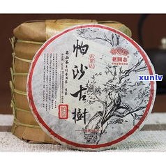 帕长茶云南普洱茶-帕迫普洱茶