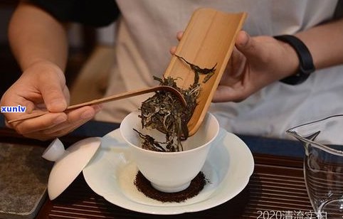 普洱茶是清流茶吗-普洱茶是清流茶吗为什么