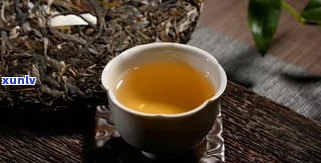 普洱茶生茶的醇厚-普洱茶生茶的醇厚度是多少