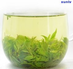 普洱茶小叶苦丁茶-云南小叶苦丁茶