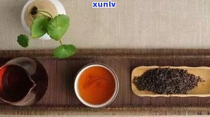 普洱茶藏生茶还是熟茶：哪个更适合收藏与饮用？