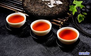 普洱茶藏生茶还是熟茶：哪个更适合收藏与饮用？