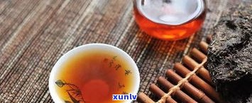 普洱茶藏生茶还是熟茶：哪个更适合收藏与饮用？