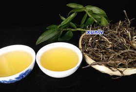 普洱茶生茶能购买藏-普洱茶生茶能购买藏茶吗