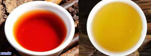 普洱茶：属于青茶还是黄茶？