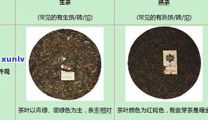 普洱茶熟茶的属性及其性质，是热性还是凉性？