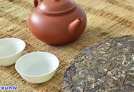 普洱茶里茶沬很多-普洱茶里有