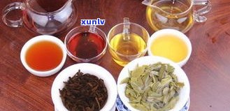 普洱微发酵：生茶还是熟茶？揭秘发酵过程中的微生物作用