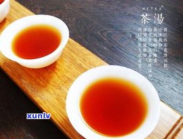 普洱茶福珠鲜茶-福今普洱茶