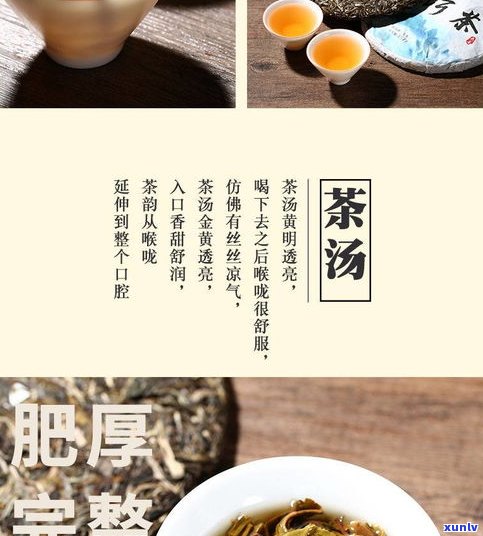 饼茶是什么茶？详解云南七子饼茶与饼茶分类、品种