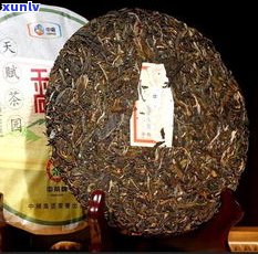 中茶属于普洱茶吗？原因解析