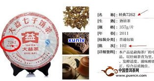 中茶是否属于普洱茶？——知乎上的讨论与分析