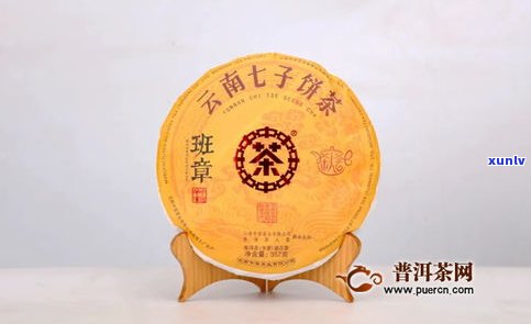 中茶是普洱茶吗？探讨其身份与含义