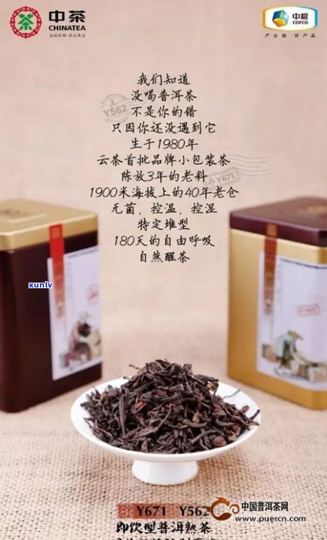 中茶属于普洱茶吗-中茶属于普洱茶吗为什么