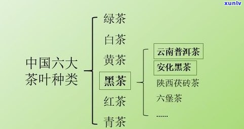 普洱茶的压茶技巧和方法详解：视频、图解与工艺流程