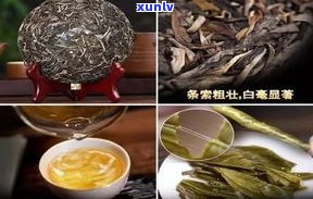 普洱茶是否被淘汰？探讨其原因与现实情况