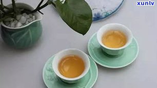 普洱茶有小虫子是否能饮用？相关视频与图片解答