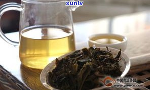 普洱茶有小虫子是否能饮用？相关视频与图片解答