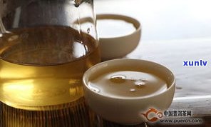 普洱茶有小虫子是否能饮用？相关视频与图片解答