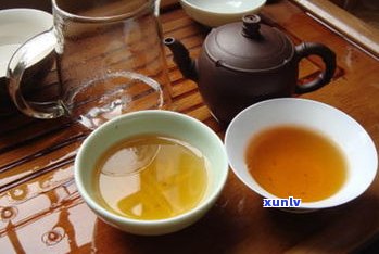 普洱生茶怎么喝有讲究？正确冲泡与饮用方法全解析