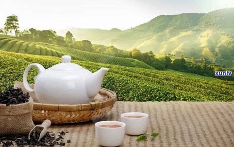 普洱澜沧古茶股份有限公司产品价格全览：澜沧古茶普洱茶、熟普2021及2019年价格一览